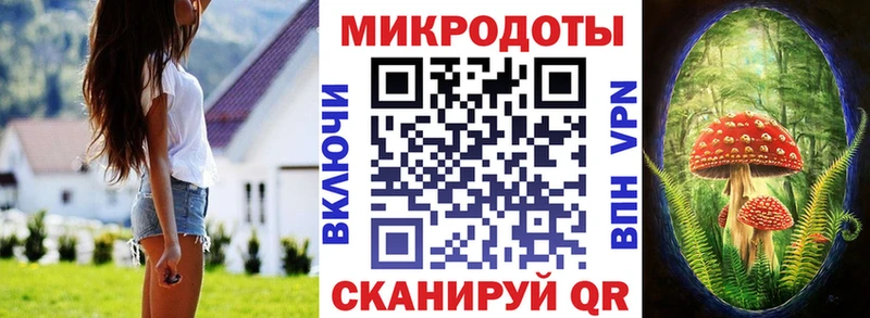 Псилоцибиновые грибы мухоморы  ссылка на мегу   Приозерск  купить наркотик 